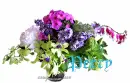 Perry flowers