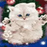 Magic Kitty Cat