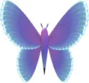 Flying Butterfly