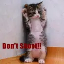 Don't Shoot!!