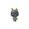 cute cat