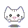 cute cat
