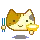 cute cat