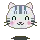 cute cat