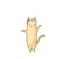 cute cat