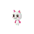 cute cat
