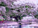 Beautiful 