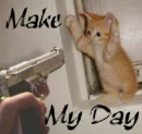 Make my day