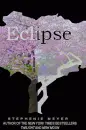 Eclipse-Fan Cover