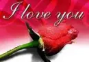I love you