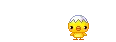 Little Chick