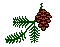 Pine cone