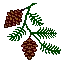 Pine cone #2
