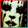 Joey Jordison