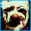 Shawn Crahan