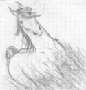 horse
