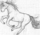 horse2