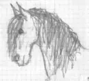 horse3