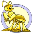 Neopets
