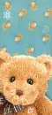 hello! bear