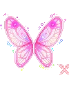 pink wings