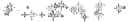 stars