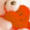 Teddy