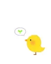 Little Chick