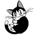 Black Cat