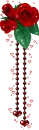 red rose