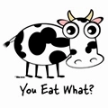 Cute cow