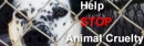 Animal abuse