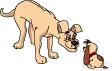 adult dog and puppy