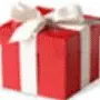 David in a Gift