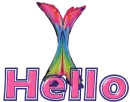 HELLO-butterflymoo5