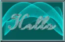 HELLO-dktealmoo