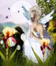 white fairy