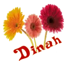 Dinah