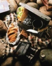 Bread Picnic