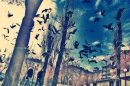 birds