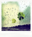 wish