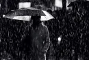 rain umbrella