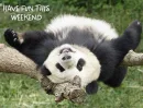 Weekend - Have Fun