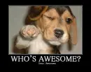 who's awesome