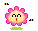 pink flower