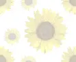 sunflowers 2