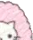 cotton kitty
