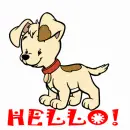 Hello