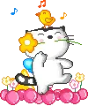 Dancing Kitty