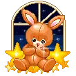 bunny star